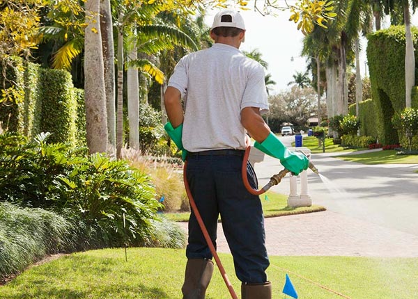 About Fountain City IN Pest Control